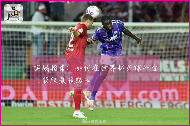 实战指南：如何在世界杯买球平台上获取最佳赔率
